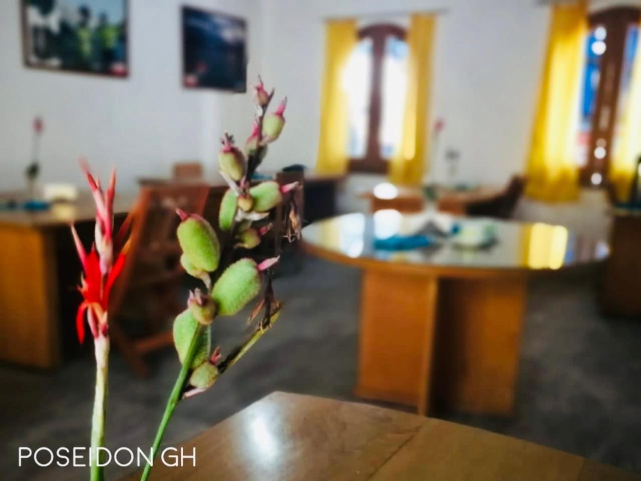 Poseidon Guest House Iquitos Exteriér fotografie